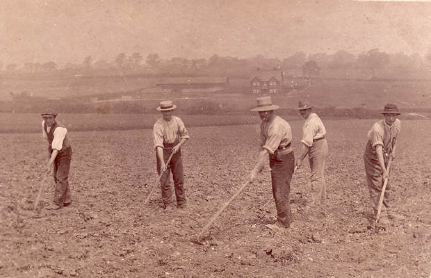Working the fields the old way