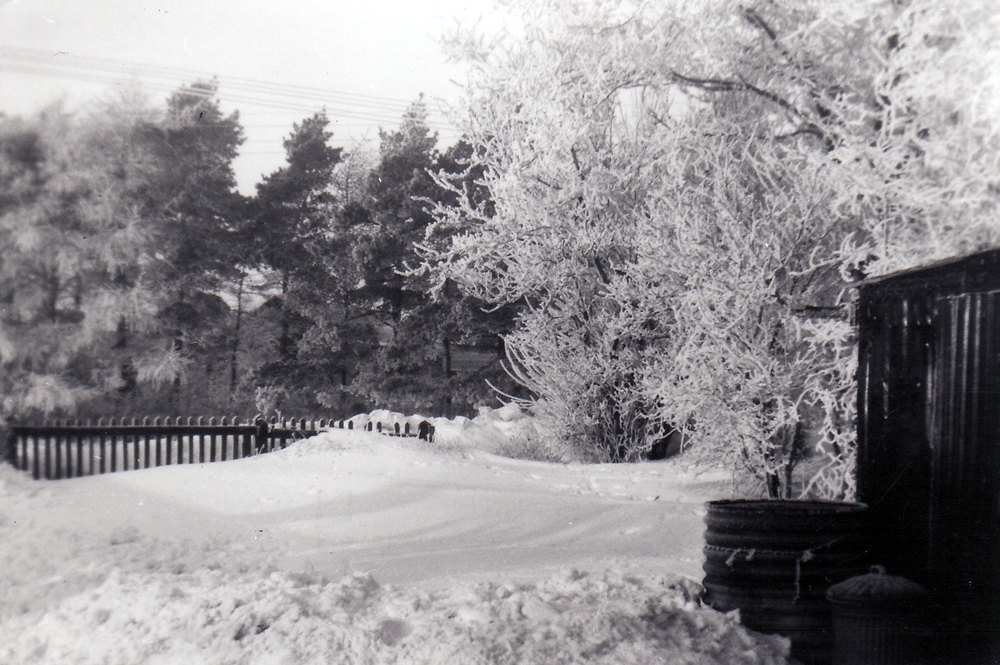 Winter 1959