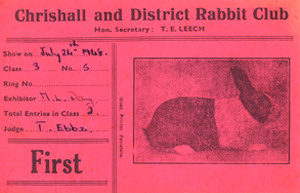 rabbit show card