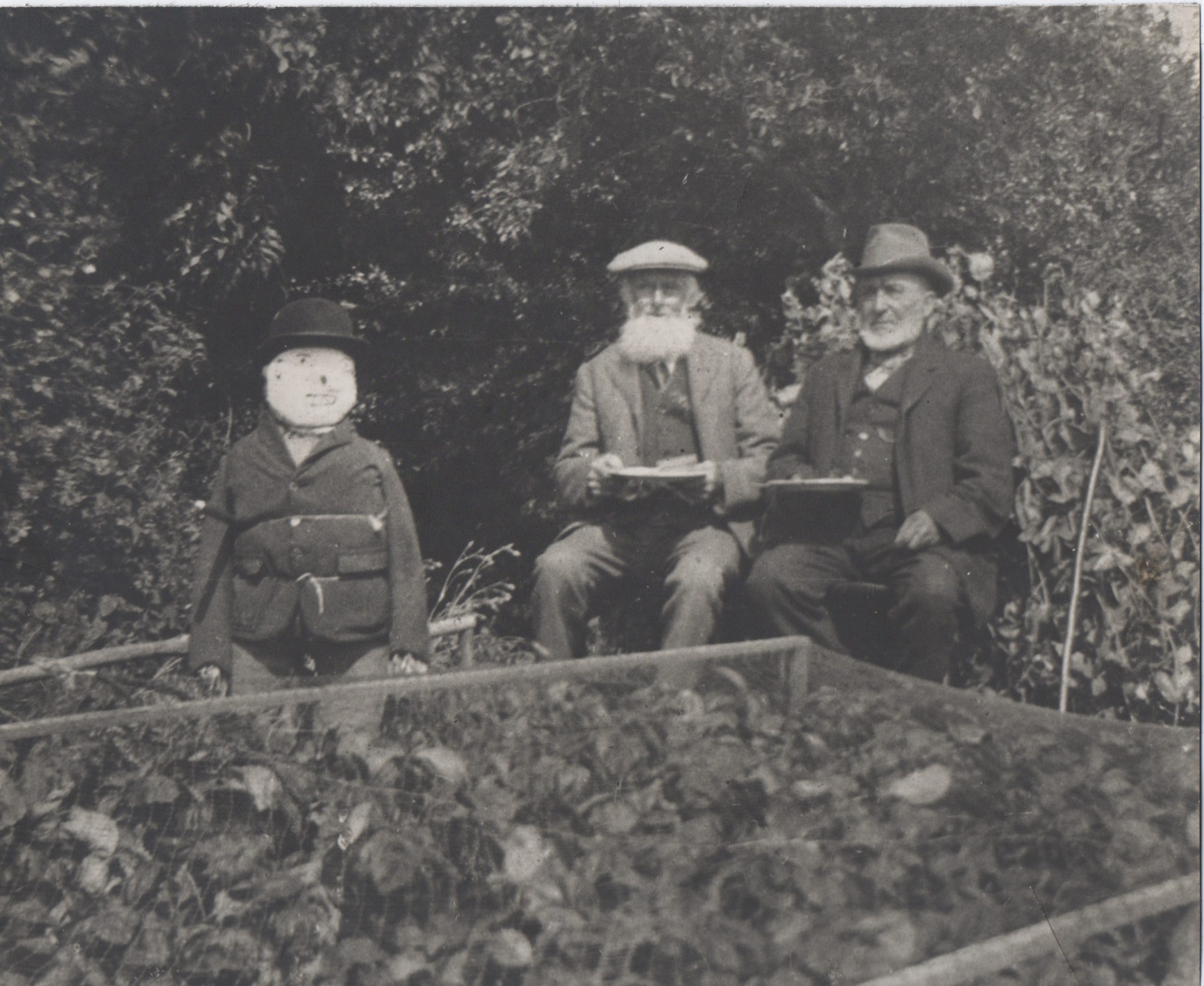 Alfred Brand and the bees