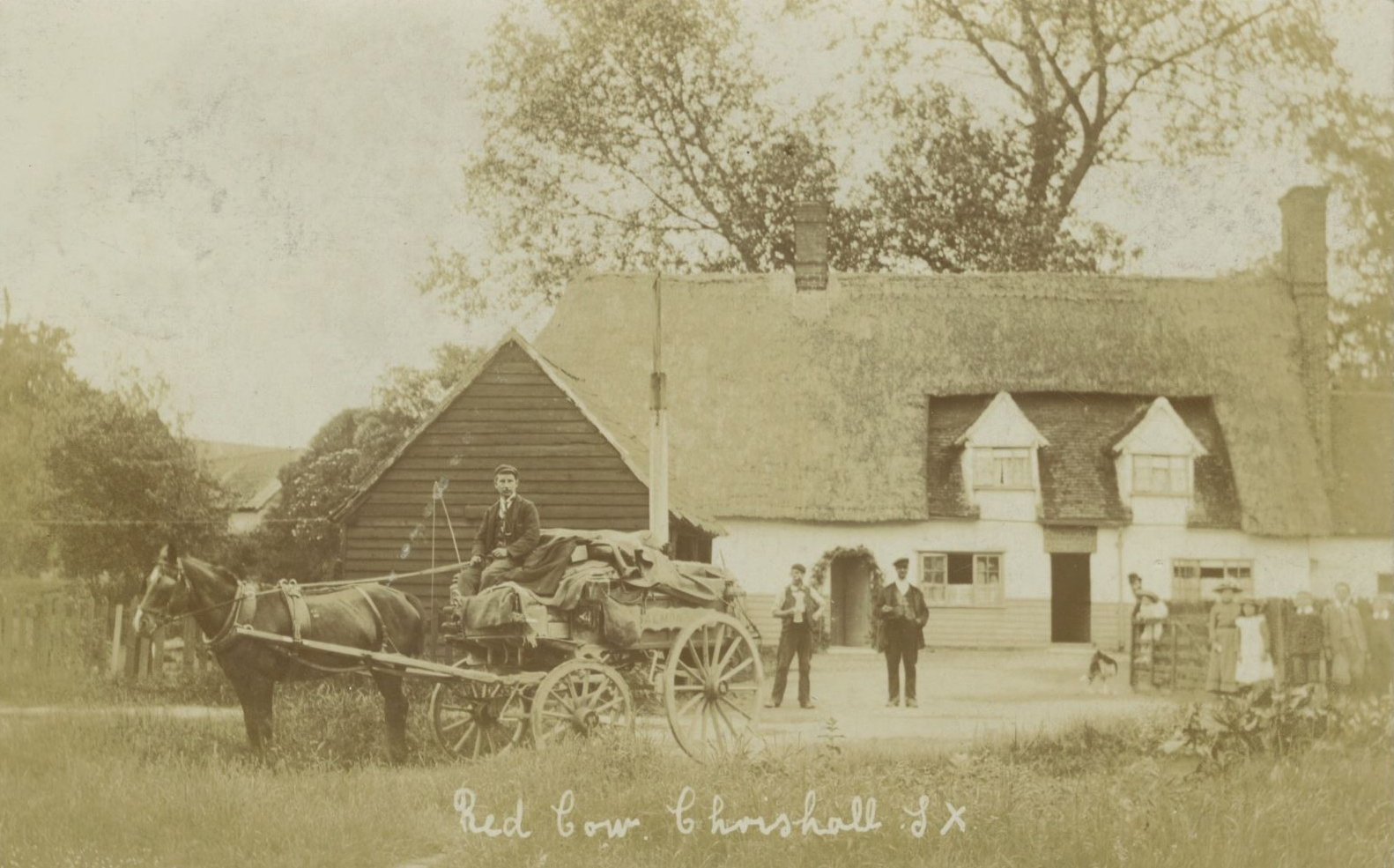red cow chrishall 1920s