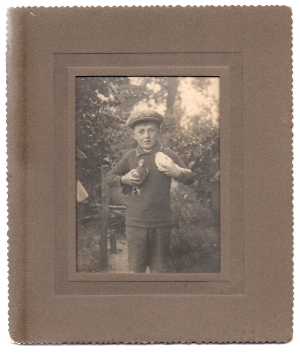 The boy with the birds