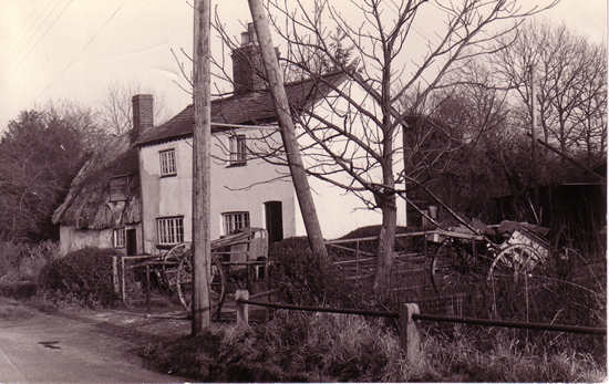 chrishall-Cobblers-1960