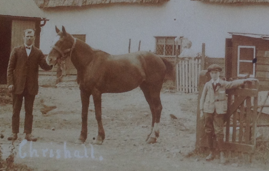 A rare postcard of Phoenix Cottage from 1911